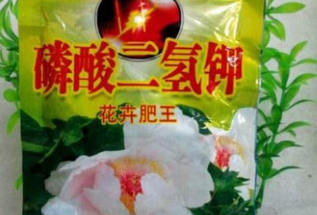 花期长达9个月，此花花色丰富，养花简单，来了解下