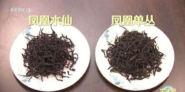 解春困、消疲劳？秘密都在这杯茶里！