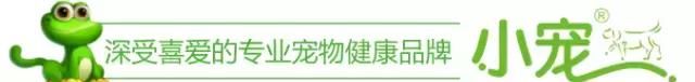 狗吃什么最好,狗吃什么最好下奶图6