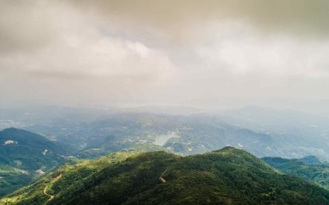 为什么高山茶叶质量最佳