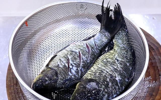春季，萝卜白菜靠边站，多吃3种"高蛋白"食物，增强体质，身体棒