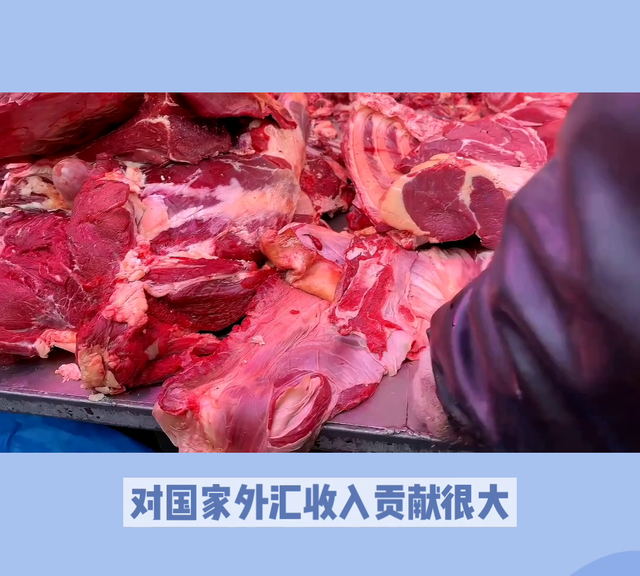 吃牛肉的好处