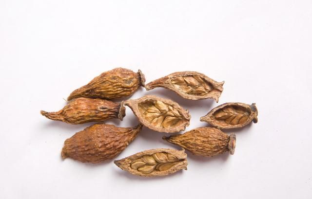 一个补肾精的方子，简单四味中药，大补肾精、延年益寿