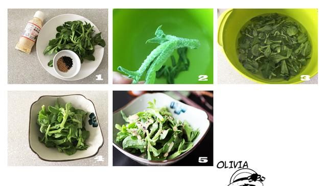 冰草最简单吃法，补虚强身，都说它是蔬菜贵族，其实好吃又便宜！