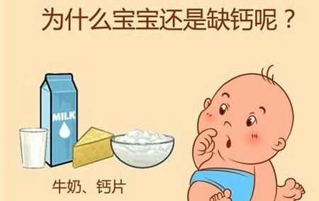 宝宝吃什么可以促进钙吸收图2