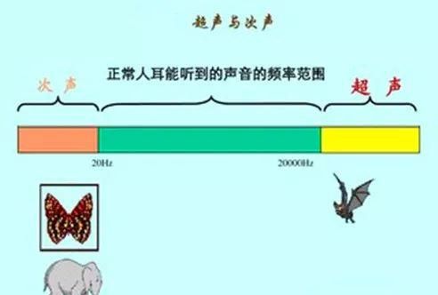 大象的鼻子有什么好处呢,大象鼻子朝上朝下寓意图11