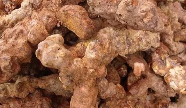 仅一字之差，功效却天差地别！买错小心良药变“毒药”