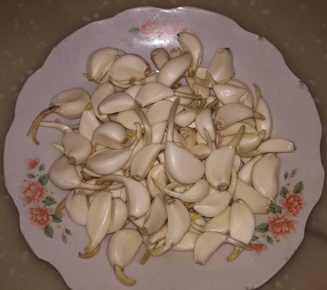 壹粉食堂|超简单腊八蒜做法来喽！脆绿爽囗又下饭，咬一口嘎嘣脆