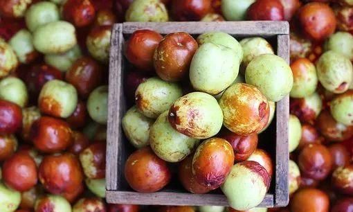 红枣补血，鲜枣更好？还有黑枣、蜜枣，怎么吃最合理？