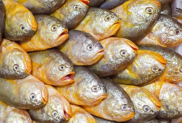 99%的人都会读错的「台州」，原来是被老天爷「喂饭吃」的