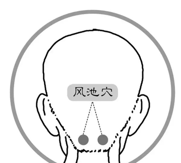 感冒鼻塞、咳嗽痰多？用这招特管用！