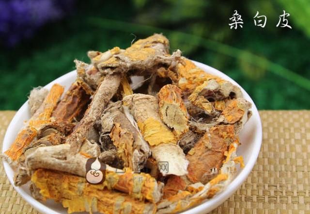 真是没想到桑树全身是宝，竟有这么多养生功效！