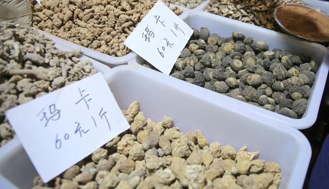 抗疲劳增强精力体力，玛卡滋补强身，到底真的还是假的？