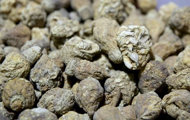 抗疲劳增强精力体力，玛卡滋补强身，到底真的还是假的？