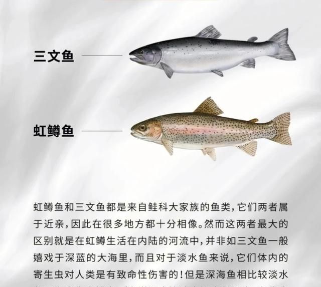 三文鱼如何选购(选购三文鱼片的正确方法)图8