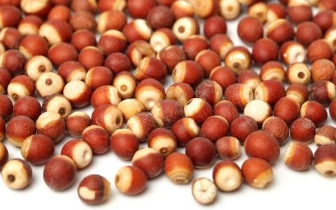 赤豆薏米芡实黄芪葛根山药,山药红豆绿豆黄豆哪个祛湿