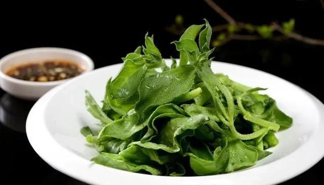 农村好项目大分享(1)，种植冰菜！