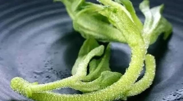 农村好项目大分享(1)，种植冰菜！