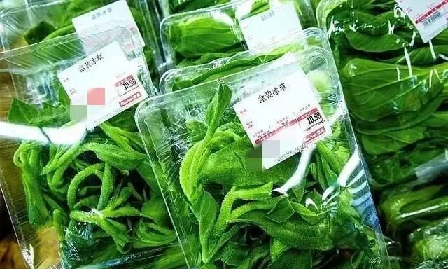 农村好项目大分享(1)，种植冰菜！