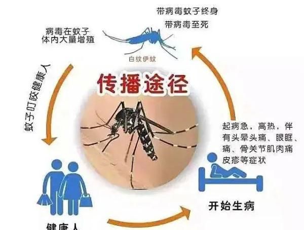 6岁孩子患上“肝吸虫病”，与家中一物有关！广东疾控提醒