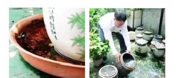 6岁孩子患上“肝吸虫病”，与家中一物有关！广东疾控提醒