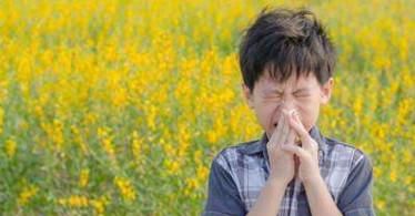 让你心中有谱，过敏性紫癜患者饮食宜忌须记牢