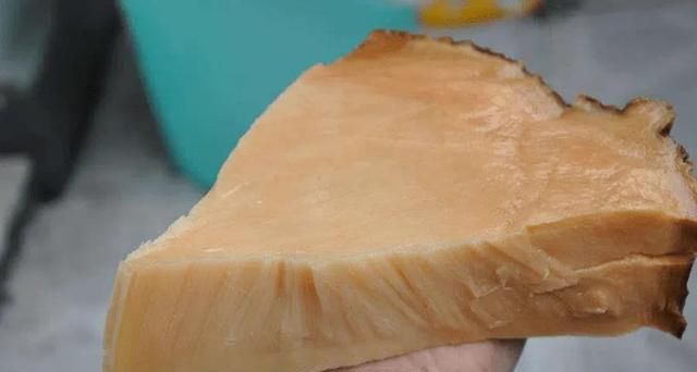 肉灵芝“太岁”到底是何物？真有这么神奇，如今终于有了结论