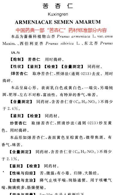 怎样煮苦杏仁(煮苦杏仁的正确方法)图12