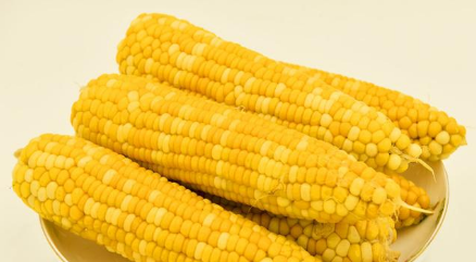 甜玉米是转基因玉米吗？对待转基因我们要科学理性