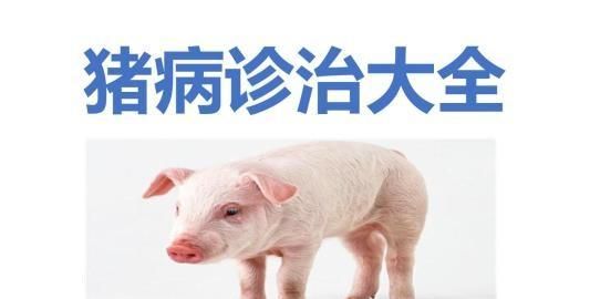 林可霉素加头孢噻肟治猪什么病图7