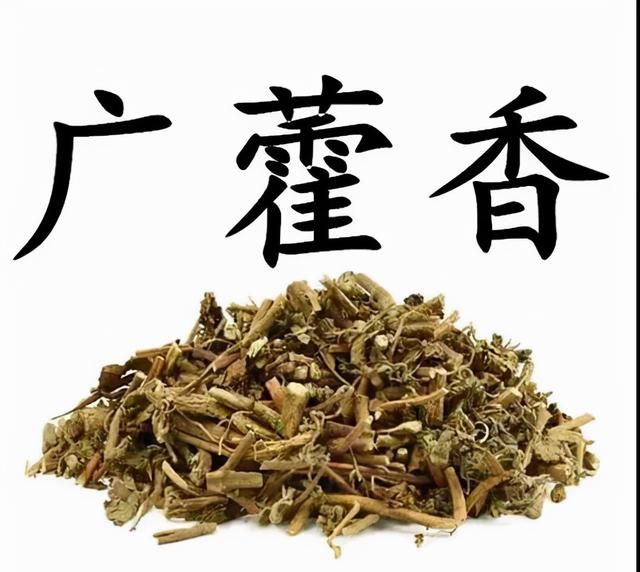 每天学习一味中药——藿香
