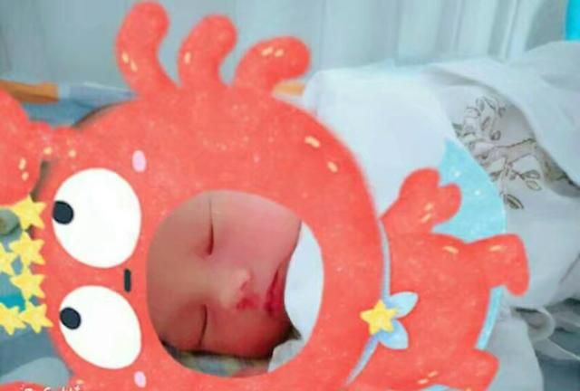 宝宝吃的蔬菜泥要如何保存(婴儿蔬菜泥怎么保存)图1