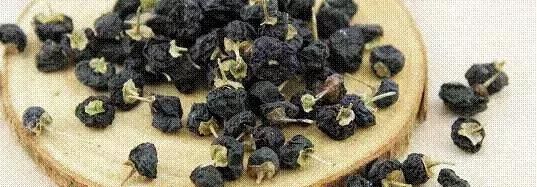 青海黑枸杞遭暴掠，“软黄金”功效有那么神？