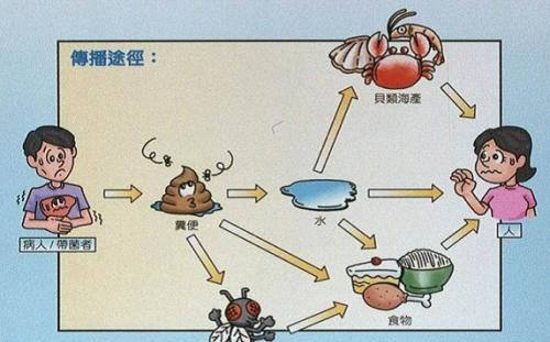 什么是粪-口传播，病毒是怎么被我们吃进去的？15秒预防它