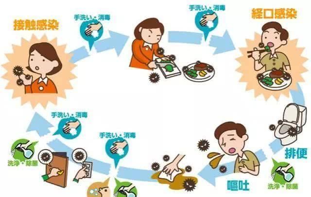 什么是粪-口传播，病毒是怎么被我们吃进去的？15秒预防它