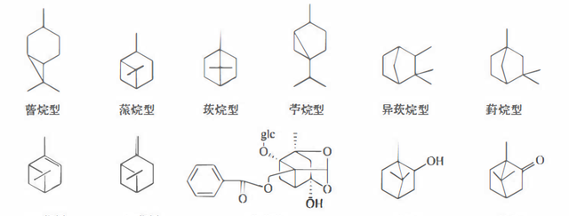 植物功效成分-萜类