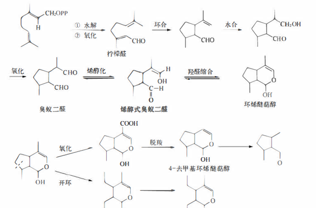 植物功效成分-萜类