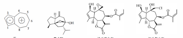 植物功效成分-萜类
