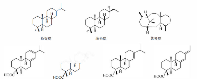 植物功效成分-萜类