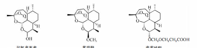 植物功效成分-萜类