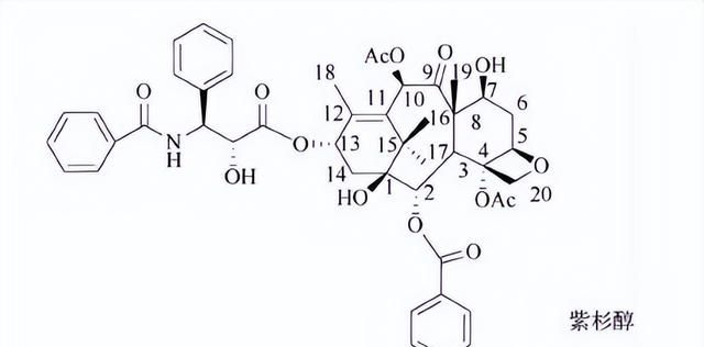 植物功效成分-萜类