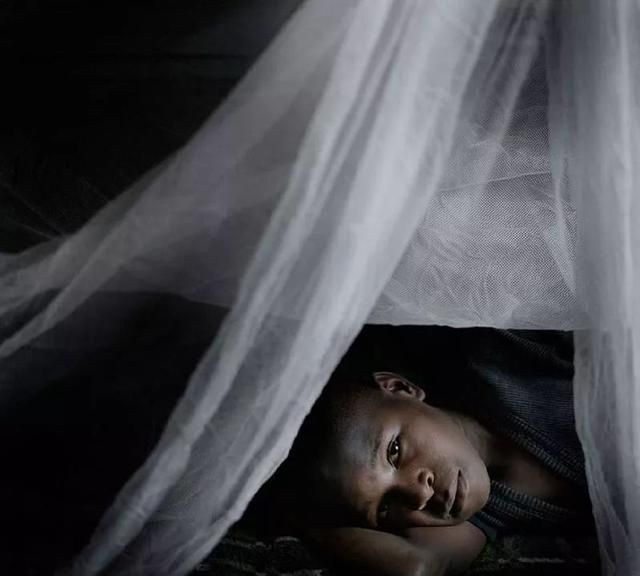 疟疾—一种没有国界的疾病