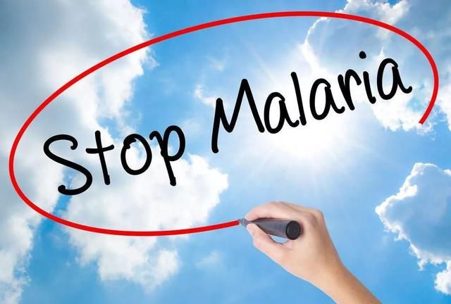 疟疾—一种没有国界的疾病