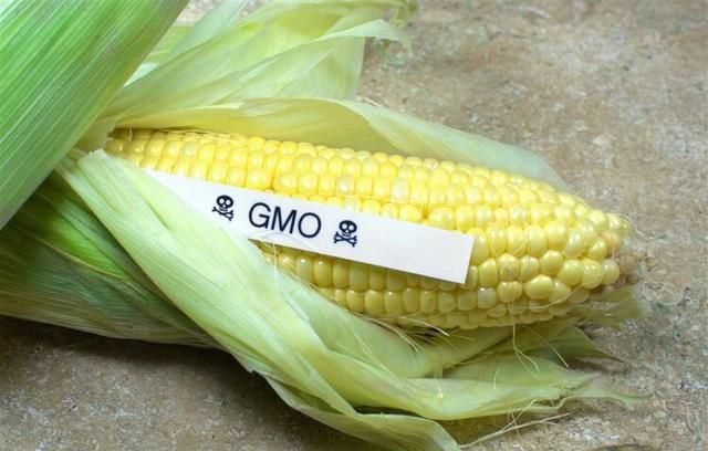 能买到的转基因食品有哪些？6种食品，看看包装就一目了然