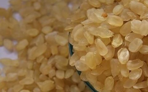 雪莲子有怎样的神奇功效呢,雪莲子有什么功效呢