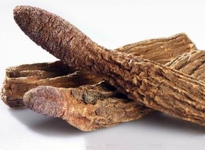 药食同源之助阳篇——锁阳