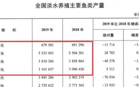 农村常吃的白鲢鱼和花鲢鱼有什么区别呢