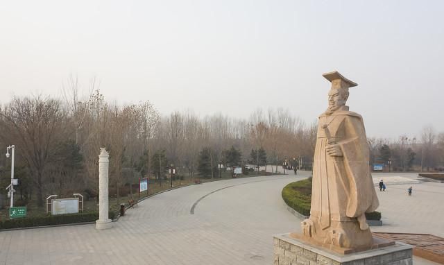 麦蓝菜与王不留行区别,王不留行麦蓝菜图8