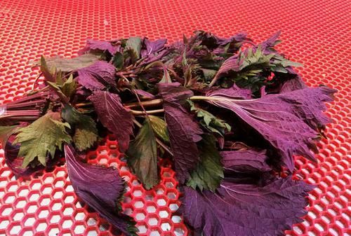 早春天气湿寒，这几款茶和粥，帮你健脾养胃化痰止咳