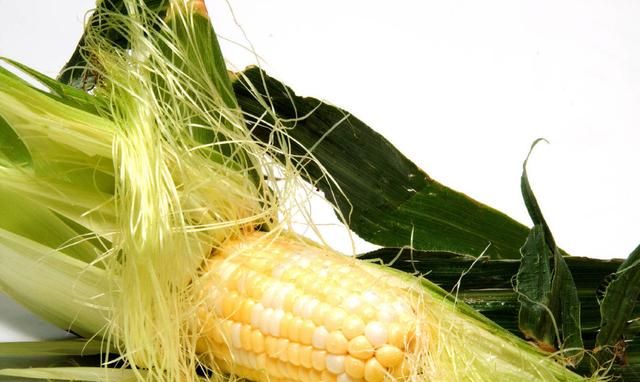玉米须被称为“龙须”？它的好处，一一说给你听